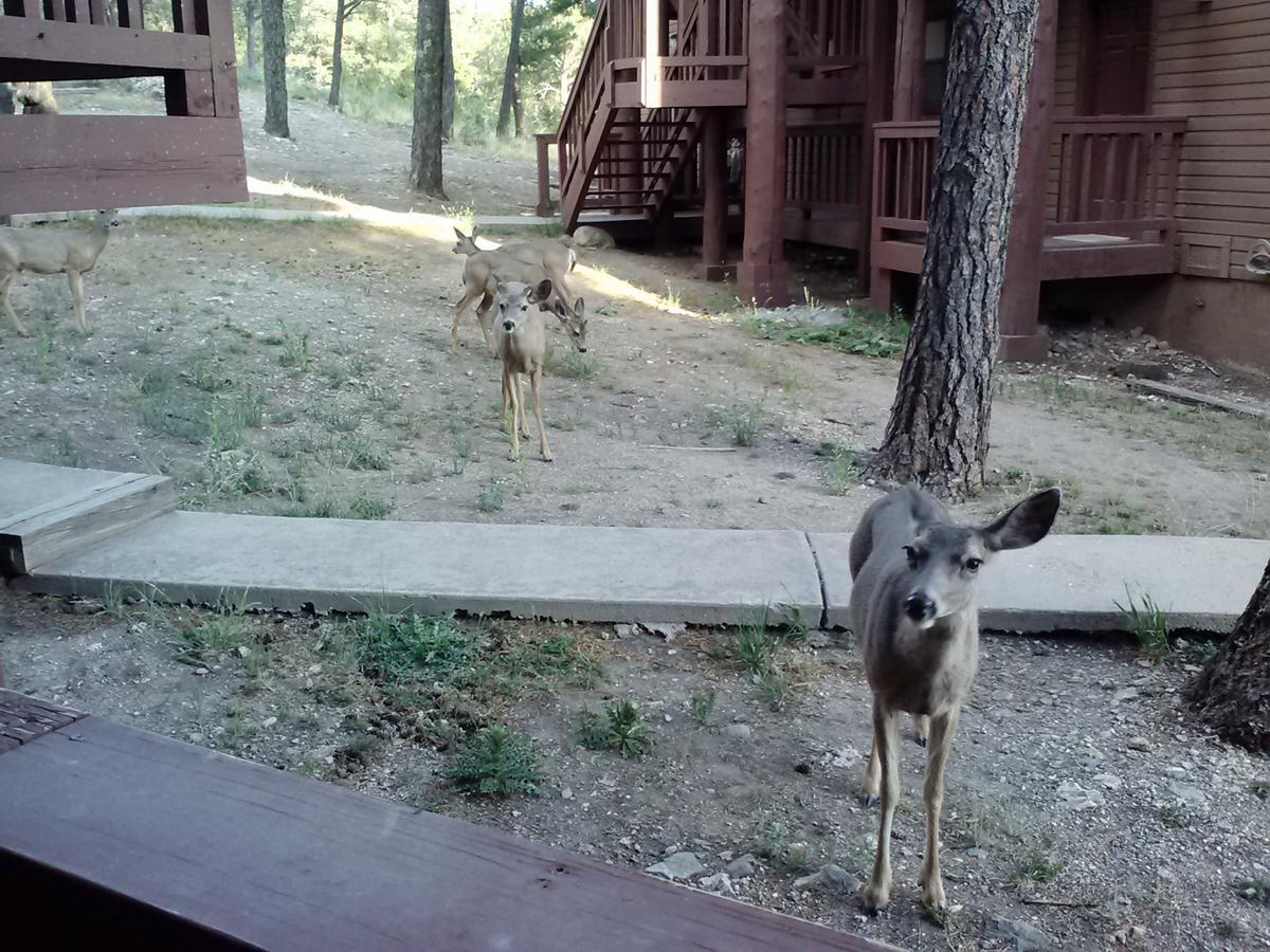 Tiara Del Sol Aparthotel Ruidoso Kültér fotó